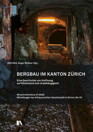 Bergbau in Zürich