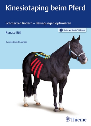 Kinesiotaping beim Pferd