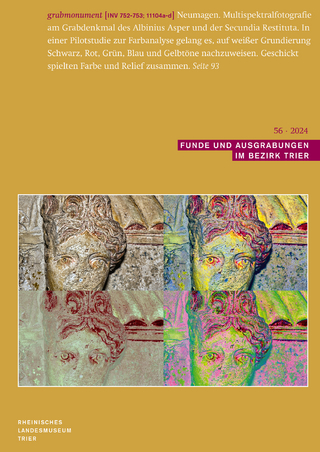 Funde und Ausgrabungen im Bezirk Trier 56 2024