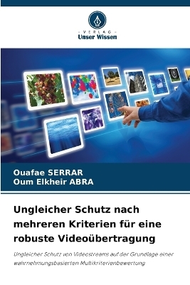 Ungleicher Schutz nach mehreren Kriterien für eine robuste Videoübertragung