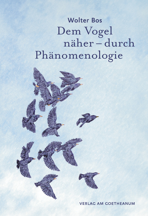 Dem Vogel n&auml;her &ndash; durch Ph&auml;nomenologie - Wolter Bos