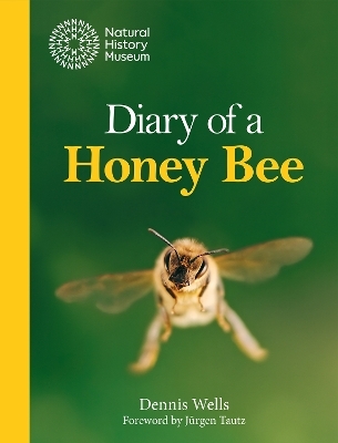 Diary of a Honey Bee - Dennis Wells