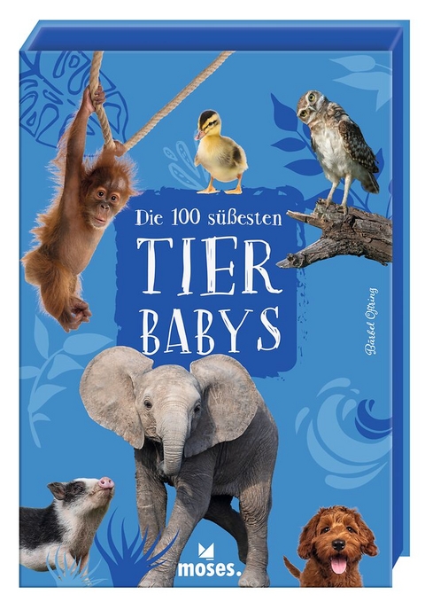 Die 100 s&uuml;&szlig;esten Tierbabys - B&auml;rbel Oftring