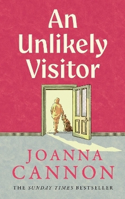 An Unlikely Visitor - Joanna Cannon
