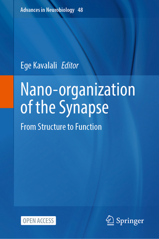 Nano-organization of the Synapse