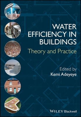 Water Efficiency in Buildings – Theory and Practice