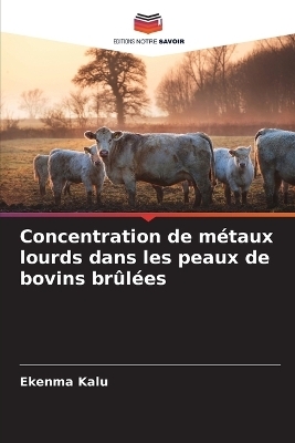 Concentration de m&eacute;taux lourds dans les peaux de bovins br&ucirc;l&eacute;es - Ekenma Kalu