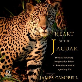 Heart of the Jaguar