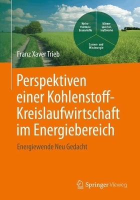 Perspektiven einer Kohlenstoffkreislaufwirtschaft im Energiebereich