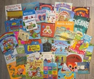 Pecyn Llyfrgell Ysgol / School Library Pack - 50 llyfr
