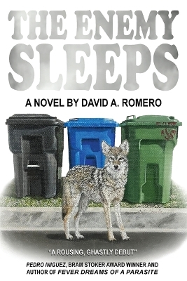 The Enemy Sleeps - David A Romero
