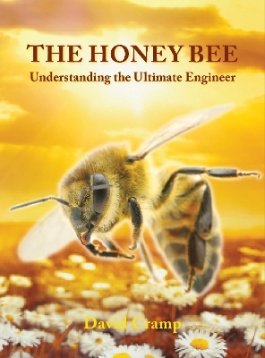 The Honey Bee