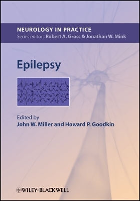 Epilepsy (Neurology in Practice Series) - 