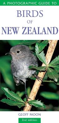 A Photographic Guide to Birds of New Zealand - Geoff Moon