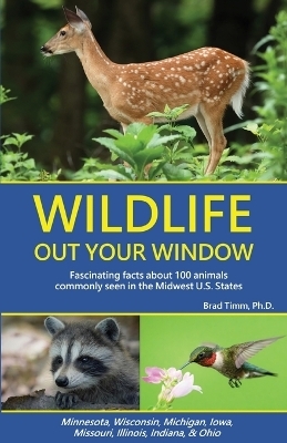 Wildlife Out Your Window