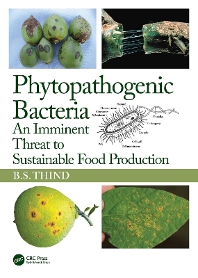 Phytopathogenic Bacteria