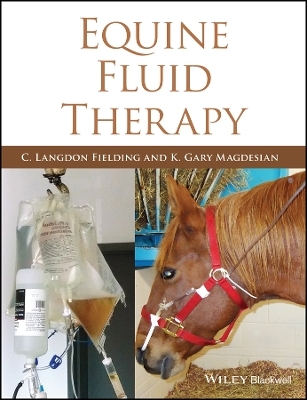 Equine Fluid Therapy