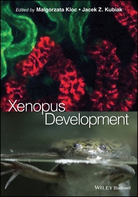 Xenopus Development - M Kloc
