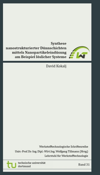 Synthese nanostrukturierter Dünnschichten mittels Nanopartikeleindüsung am Beispiel löslicher Systeme