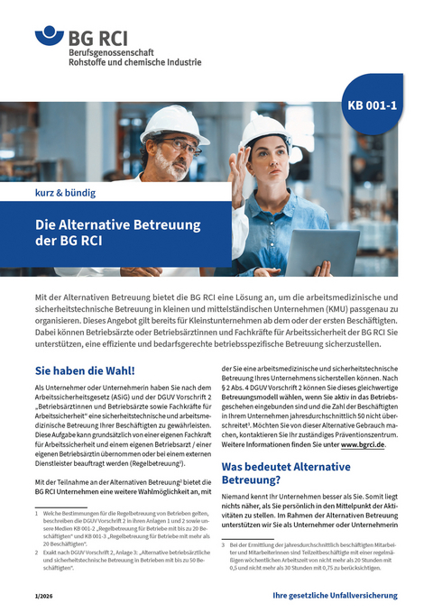 KB 001-1 Die Alternative Betreuung der BG RCI