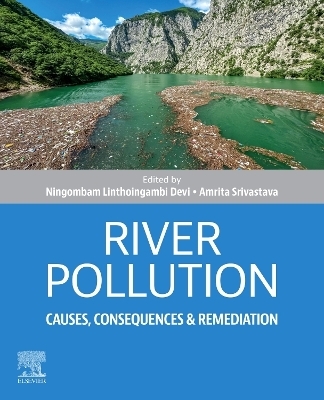 River Pollution: Causes, Consequences and Remediation - 