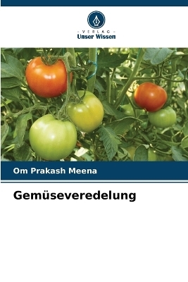 Gem&uuml;severedelung - Om Prakash Meena