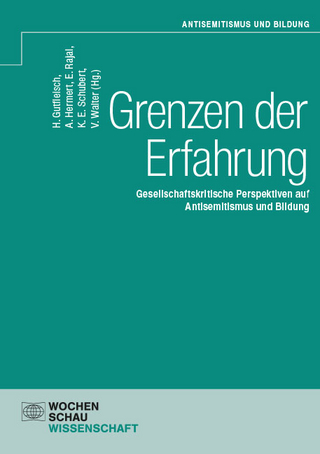 Grenzen der Erfahrung