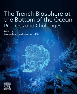 The Trench Biosphere at the Bottom of the Ocean