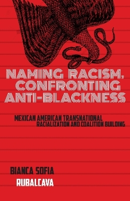 Naming Racism, Confronting Anti-Blackness