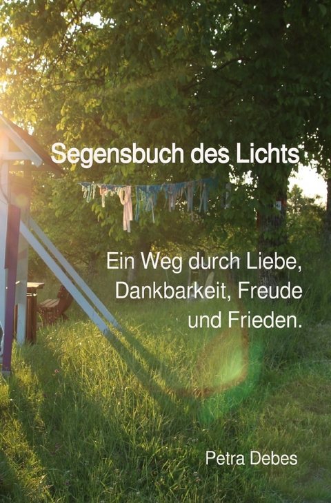 Segensbuch des Lichts - Petra Debes