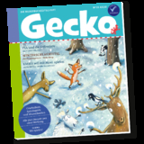 Gecko Kinderzeitschrift Band 111 - Kairi Look, Bernhard Hagemann, Annette Herzog, Susan Kreller, Ina Nefzer, Mascha Greune, Heike Nieder, Yvonne Skowronek