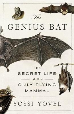 The Genius Bat - Yossi Yovel