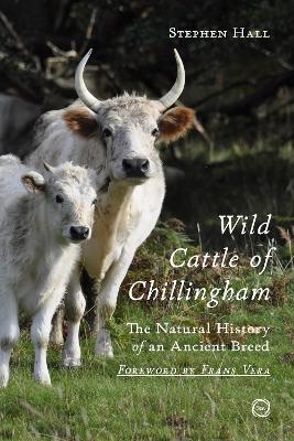 Wild Cattle of Chillingham