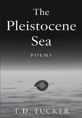 The Pleistocene Sea