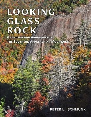 Looking Glass Rock - Peter L Schmunk