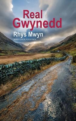 Real Gwynedd - Rhys Mwyn