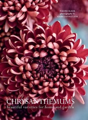 Chrysanthemums - Naomi Slade