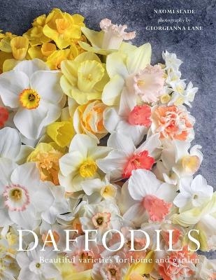 Daffodils