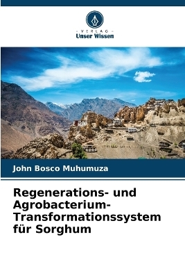 Regenerations- und Agrobacterium-Transformationssystem f&uuml;r Sorghum - John Bosco Muhumuza