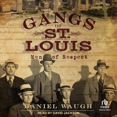 Gangs of St. Louis - Daniel Waugh