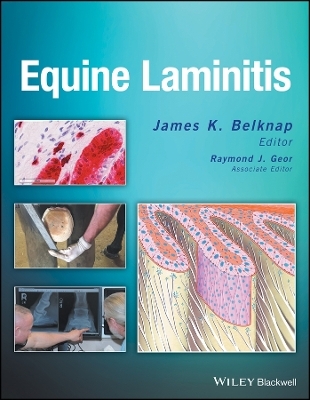 Equine Laminitis - 