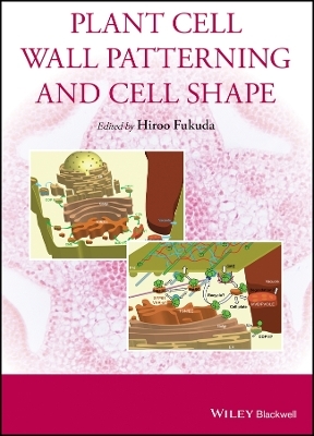 Plant Cell Wall Patterning and Cell Shape