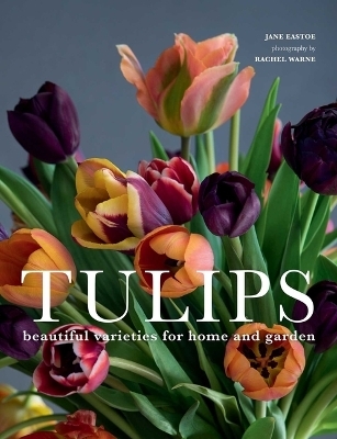 Tulips - Jane Eastoe