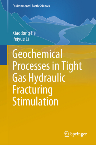Geochemical Processes in Tight Gas Hydraulic Fracturing Stimulation