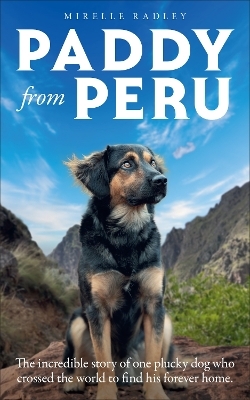 Paddy from Peru