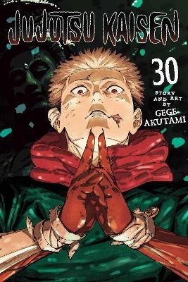 Jujutsu Kaisen, Vol. 30 - Gege Akutami