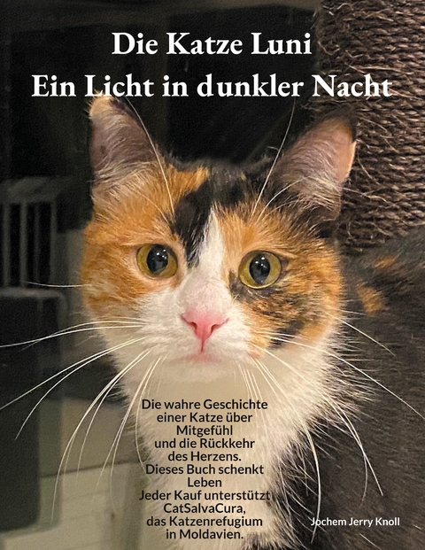 Die Katze Luni - Ein Licht in dunkler Nacht - Jochem Jerry Knoll