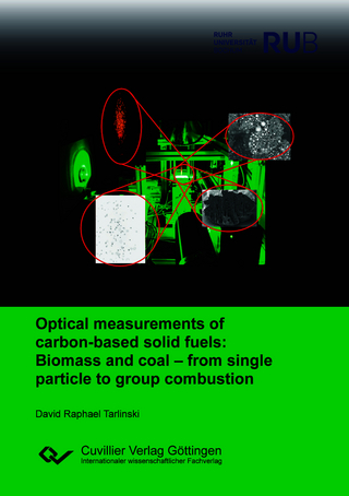 Optical measurements of carbon-based solid fuels: Biomass and coal – from single particle to group combustion