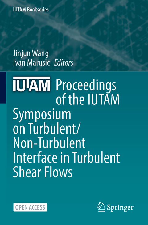 Proceedings of the IUTAM Symposium on Turbulent/Non-Turbulent Interface in Turbulent Shear Flows - 