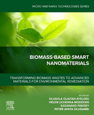 Biomass‐Based Smart Nanomaterials